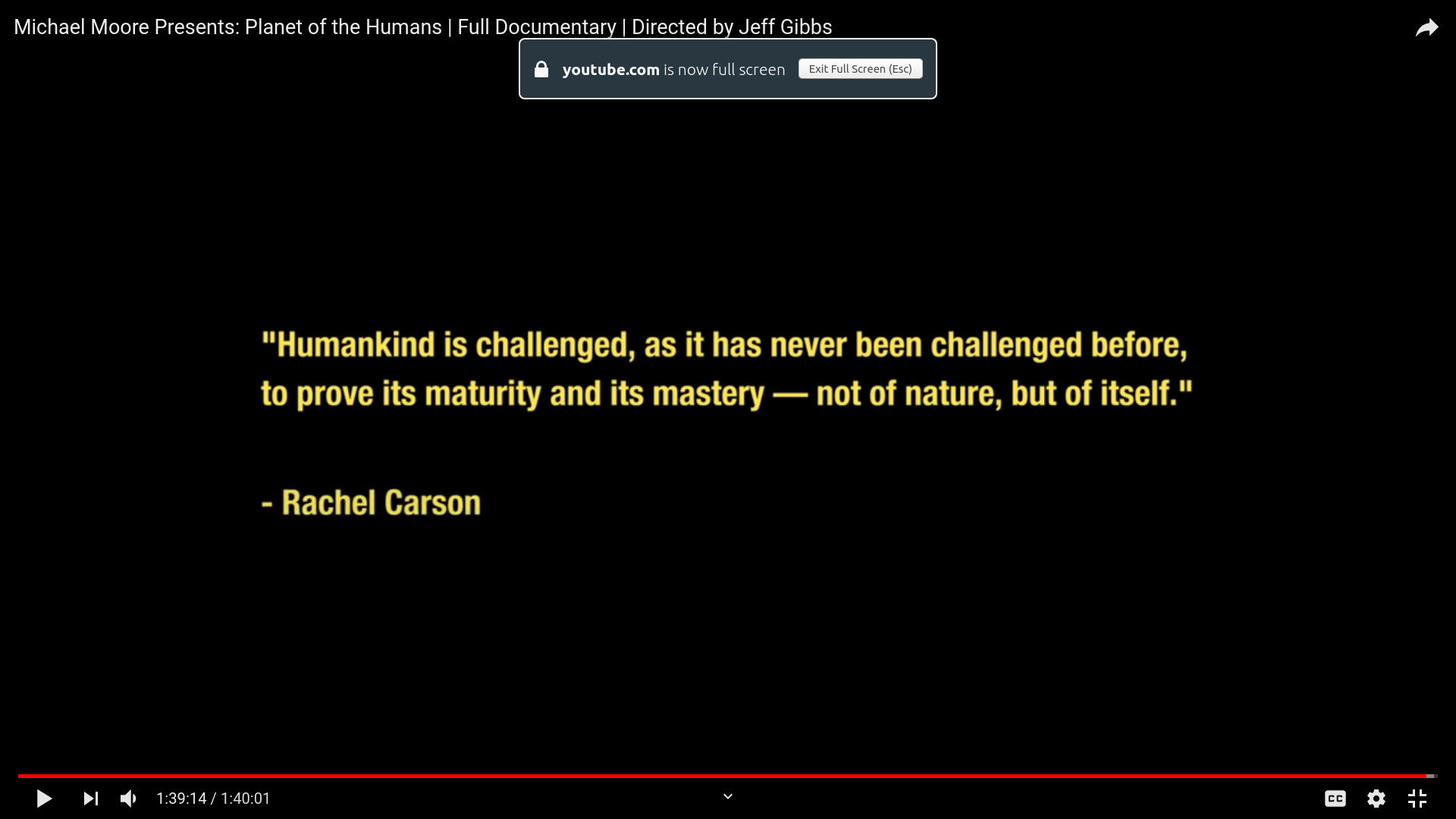 Rachael Carson Quote